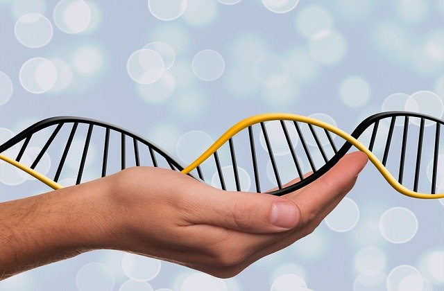 5 Issues You Might Not Know About DNA Testing and Its Advantages on Well being
