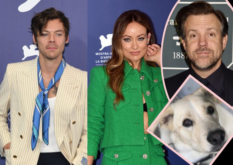 Olivia Wilde Was ‘An Addict’ For Harry Kinds Whereas Nonetheless With Jason Sudeikis – And Even Gave Up Her Canine For Him?!