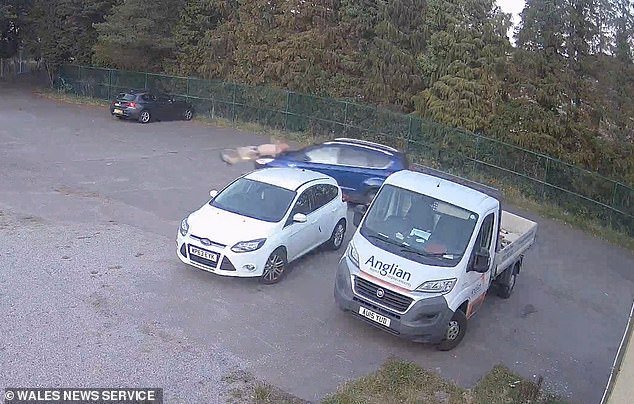 Watch the second livid nurse mowed down her ex-lover from behind in rugby membership automobile park [Video]