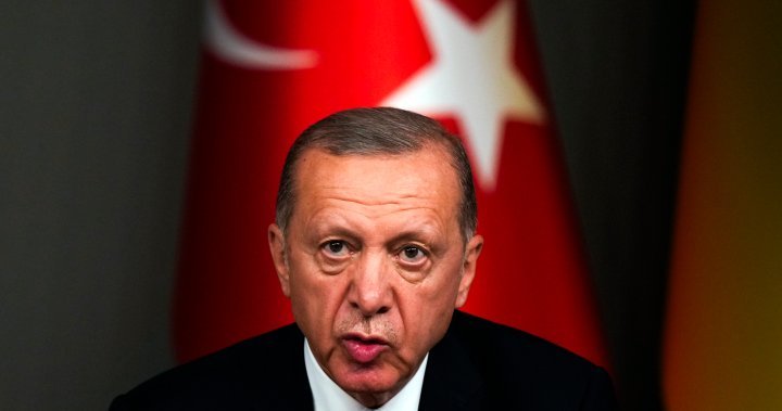 Erdogan ties Sweden’s NATO membership to Turkey’s EU accession – Nationwide