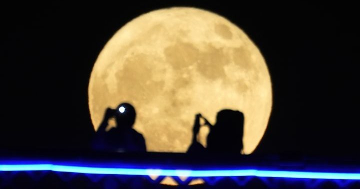 ‘Buck Moon’ dazzles skies world wide. When to look at the subsequent supermoon – Nationwide