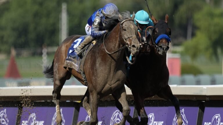 Cody’s Want ekes out a nostril victory in Breeders’ Cup Filth Mile