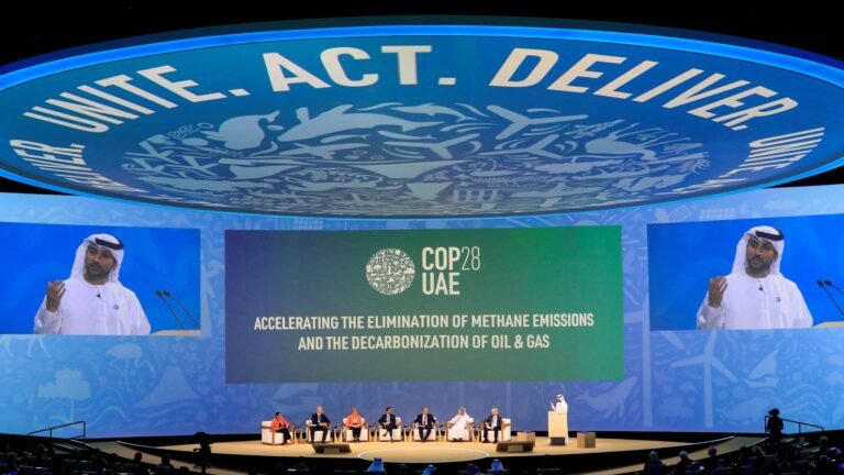 COP28 introduces plan to ‘scale back’ however not ‘section out’ fossil fuels | Local weather Information