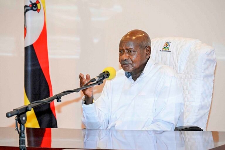 President Museveni explains to NAM delegates why Uganda is essentially the most engaging nation for funding