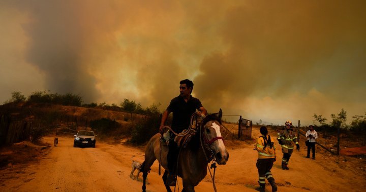 At the least 64 reported lifeless in Chile as fires transfer into densely populated areas – Nationwide